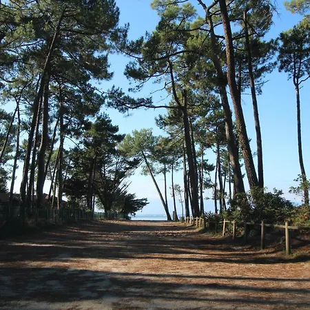 Appartement 2 Chambres Bassin D'Arcachon Front De Mer, Plage Du Betey Andernos-les-Bains Exterior photo